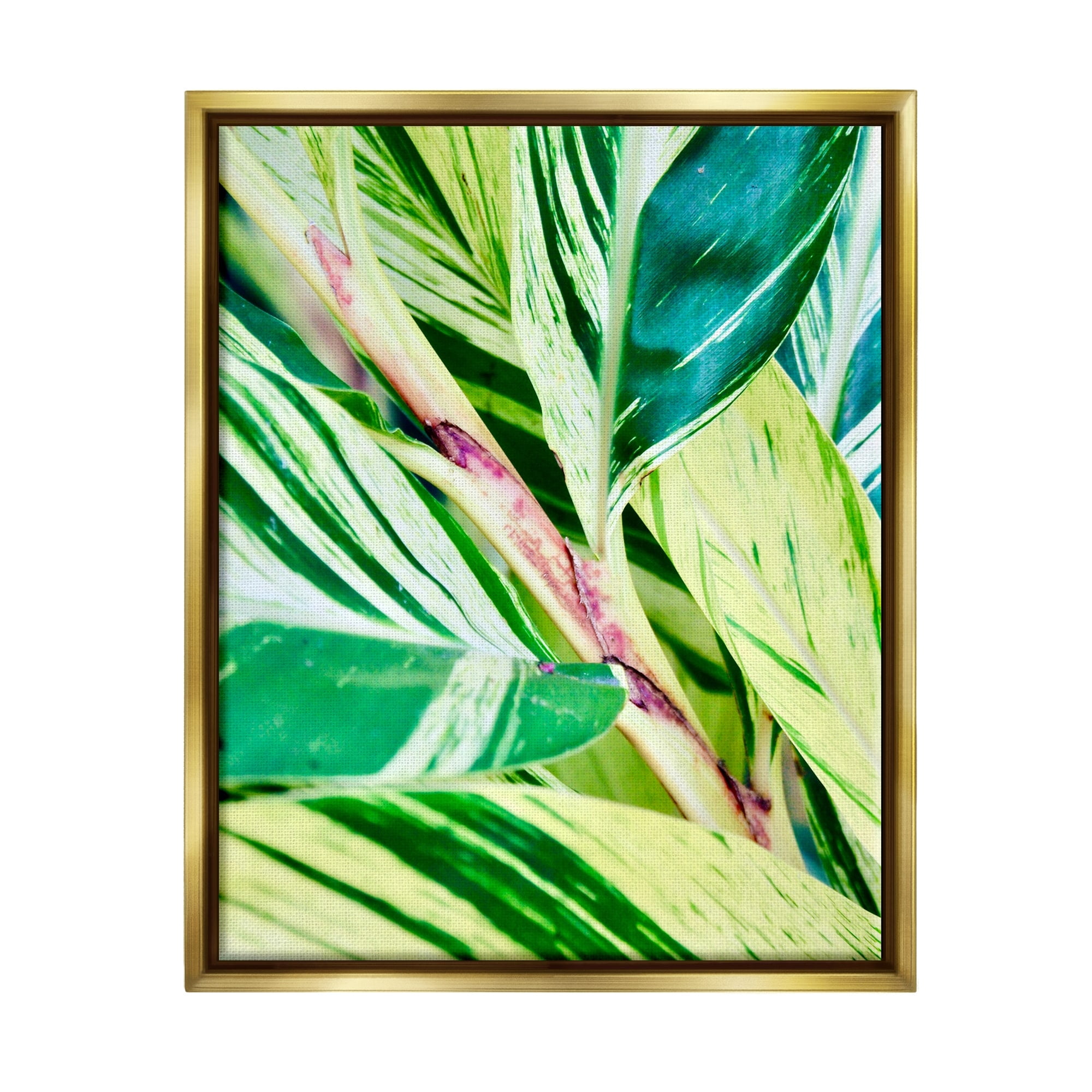 Stupell Industries Tropical House Plant Leaves Close Up Photography Photograph Metallic Gold Floating Framed Canvas Print Wall Art, Design by Gail Peck