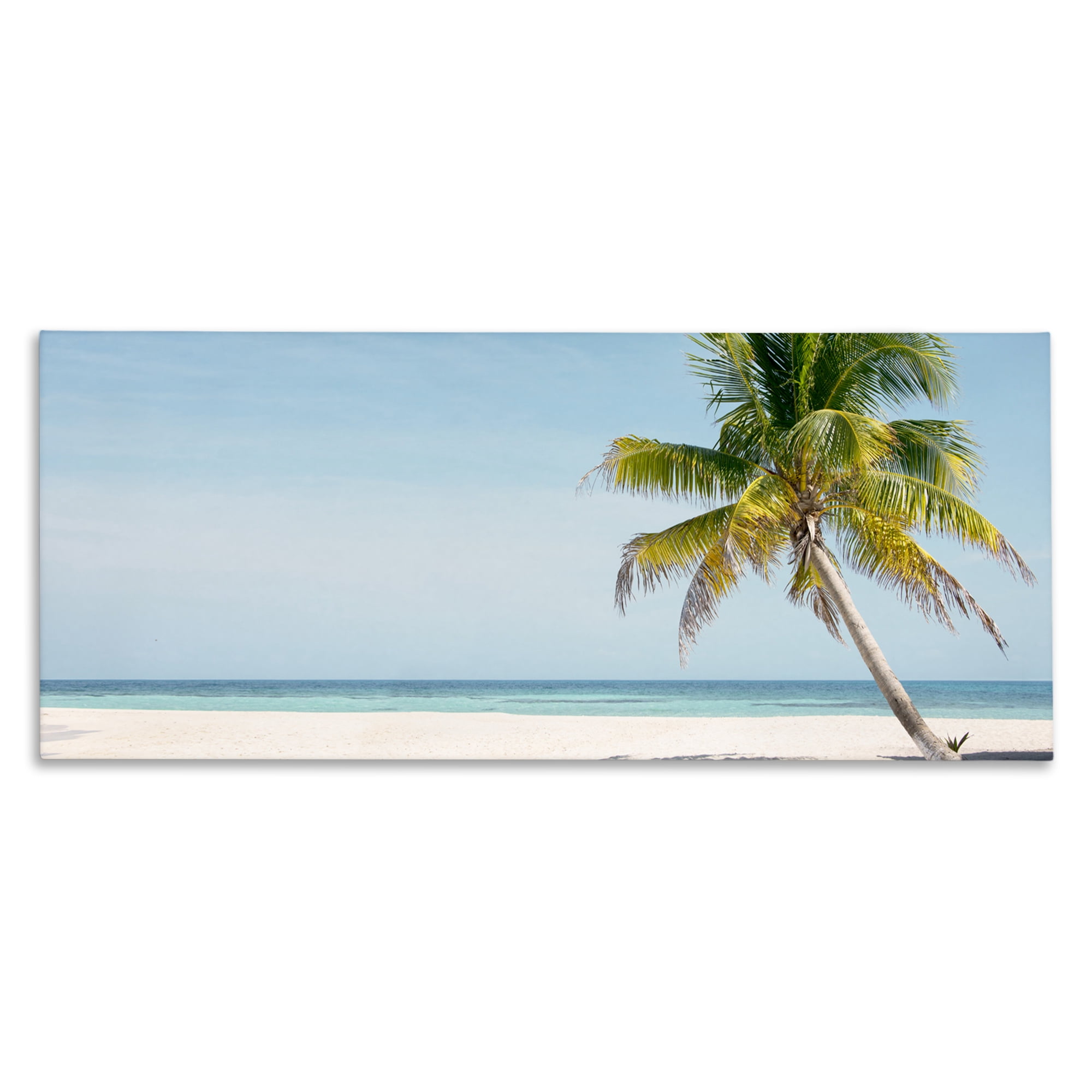 Stupell Industries Tropical Island Palm Tree Canvas Wall Art, design by Danita Delimont