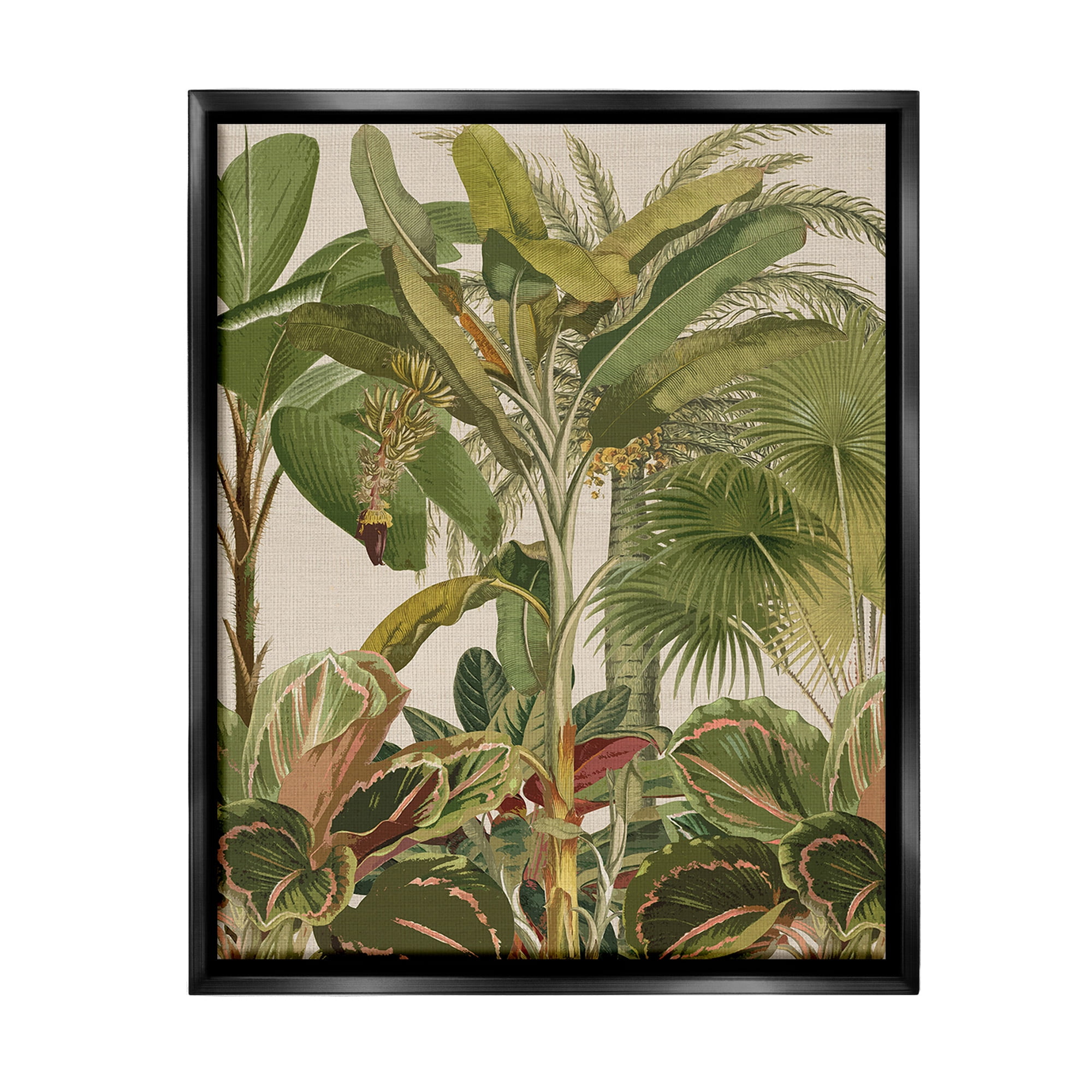 Stupell Industries Tropical Jungle Vegetation Botanical & Floral Painting Black Floater Framed Canvas Art Print Wall Art, 25 x 31