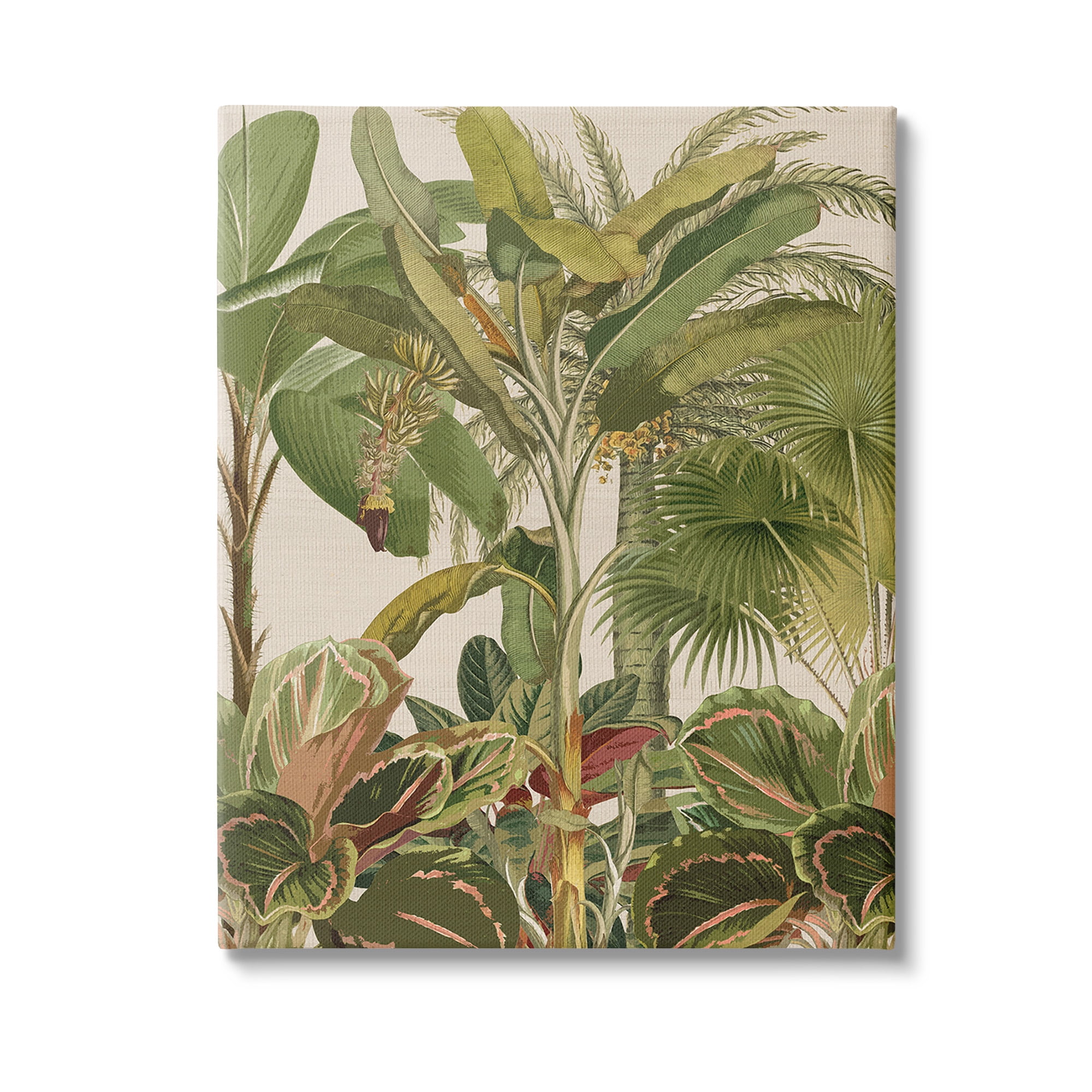 Stupell Industries Tropical Jungle Vegetation Botanical & Floral Painting Gallery Wrapped Canvas Art Print Wall Art, 36 x 48