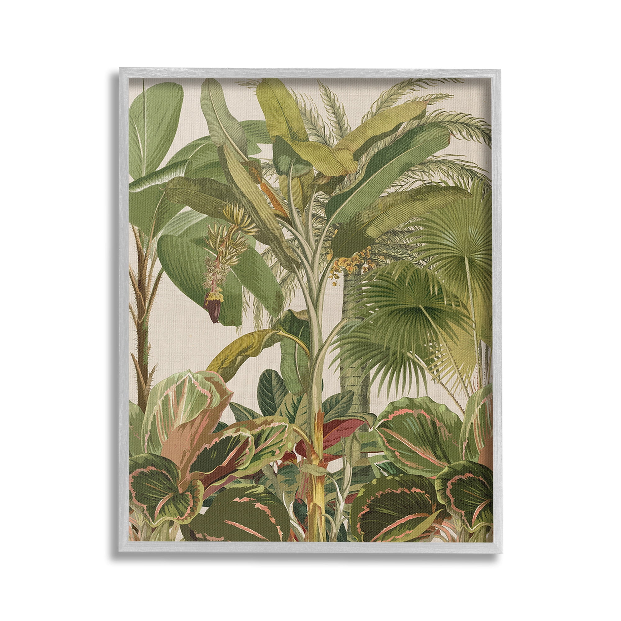 Stupell Industries Tropical Jungle Vegetation Botanical & Floral Painting Gray Framed Art Print Wall Art, 24 x 30