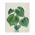 thumbnail image 1 of Stupell Industries Tropical Leaf Bundle Botanical & Floral Painting Gallery Wrapped Canvas Art Print Wall Art, 30 x 40, 1 of 8
