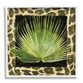 thumbnail image 1 of Stupell Industries Tropical Leaf Pattern Botanical & Floral Painting White Framed Art Print Wall Art, 12 x 12, 1 of 9