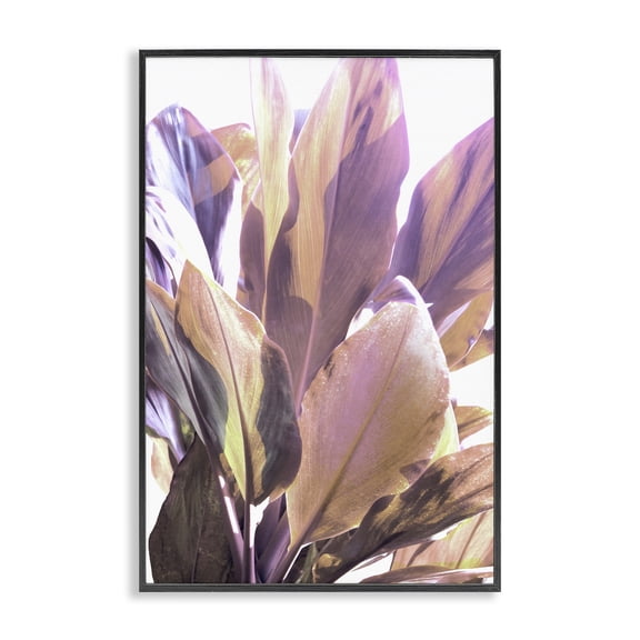 Stupell Industries Tropical Lit Leaves Black Framed Giclee Art design by Gemma Bardot, 18 x 12