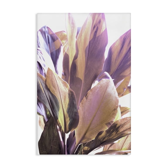 Stupell Industries Contemporary Tropical Lit Leaves Canvas Art, 30 x 45, by Gemma Bardot