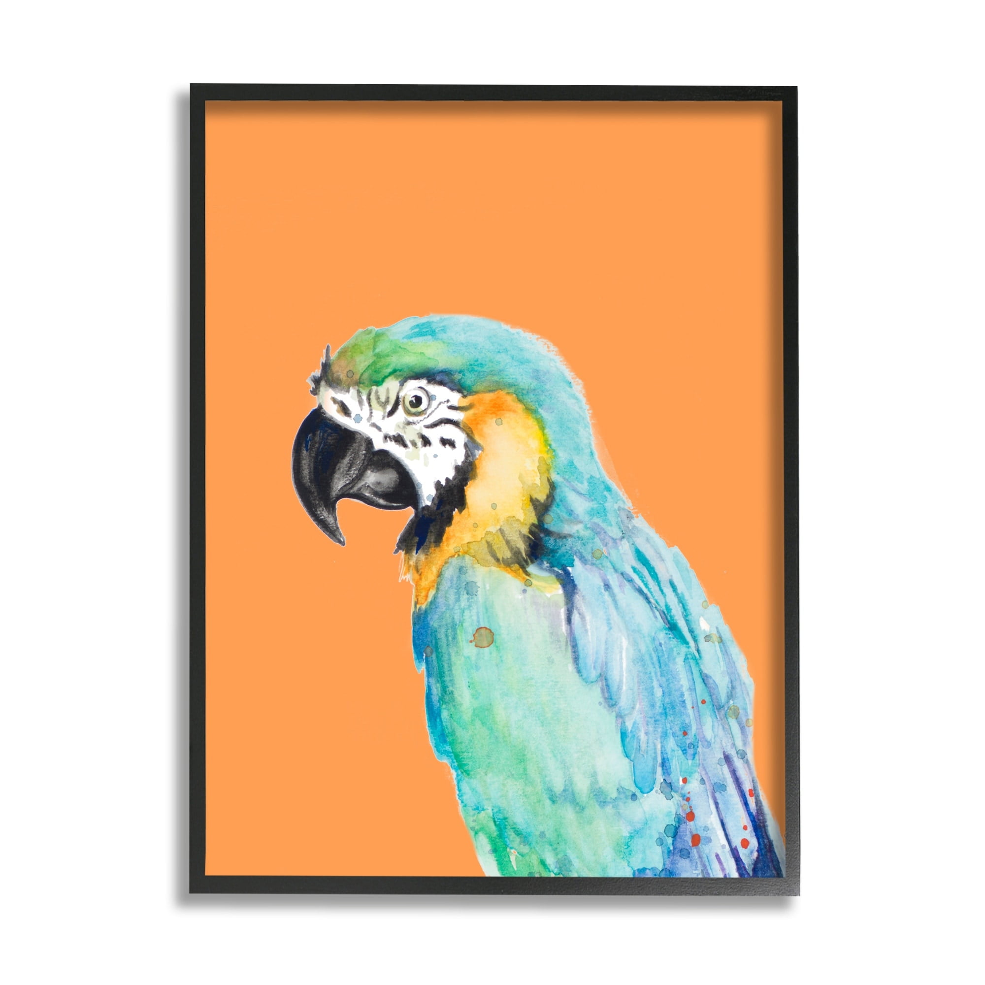 Stupell Industries Tropical Macaw Parrot Portrait Bold Rainforest Bird Graphic Art Black Framed Art Print Wall Art, Design by Patricia Pinto