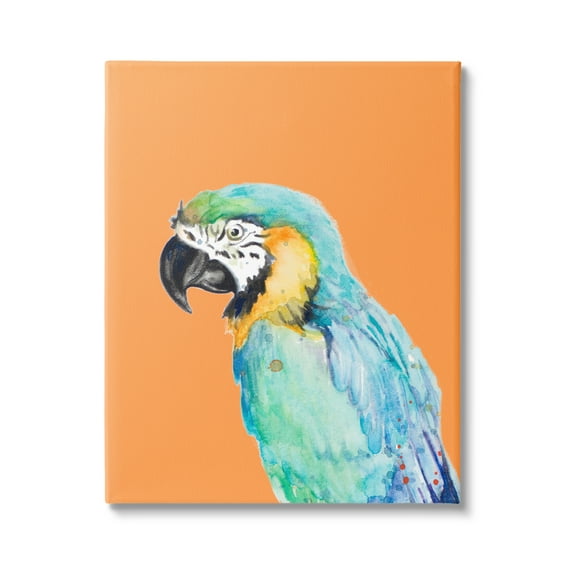 Stupell Industries Tropical Macaw Parrot Portrait Bold Rainforest Bird Graphic Art Gallery Wrapped Canvas Print Wall Art, Design by Patricia Pinto