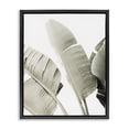 thumbnail image 1 of Stupell Industries Tropical Muted Banana Leaves Black Floating Frame Canvas Art, 17 x 21, by Sisi and Seb, 1 of 7