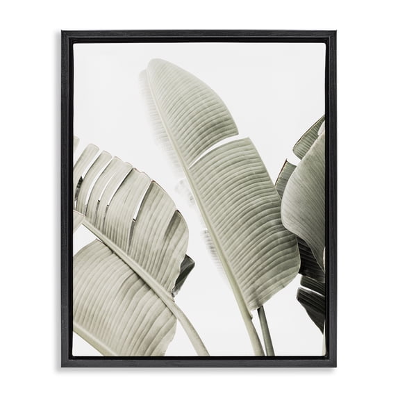 Stupell Industries Tropical Muted Banana Leaves Black Floating Frame Canvas Art, 17 x 21, by Sisi and Seb