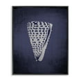 thumbnail image 1 of Stupell Industries Tropical Nautical Cone Shell Black Framed Giclee Art, 11 x 14, by Graffitee Studios, 1 of 8