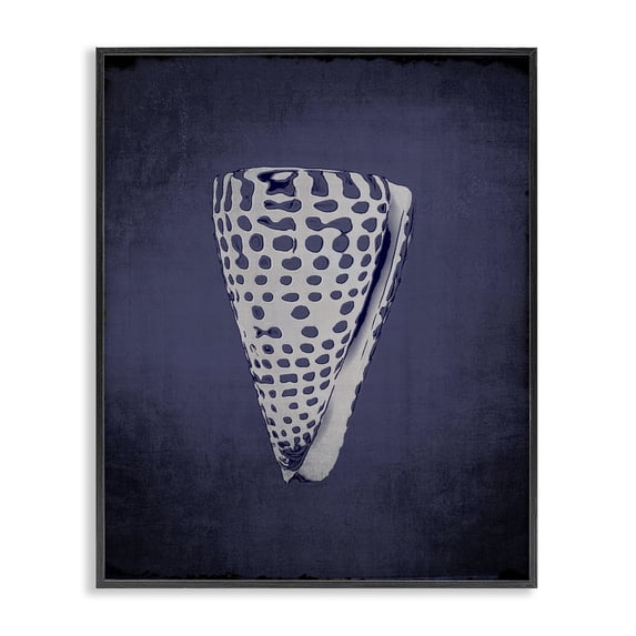 Stupell Industries Tropical Nautical Cone Shell Black Framed Giclee Art, 11 x 14, by Graffitee Studios