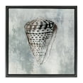 thumbnail image 1 of Stupell Industries Tropical Organic Cowrie Shell Black Floating Frame Canvas Art, 18 x 18, by Eli Jones, 1 of 8