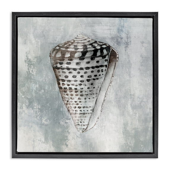 Stupell Industries Tropical Organic Cowrie Shell Black Floating Frame Canvas Art, 18 x 18, by Eli Jones