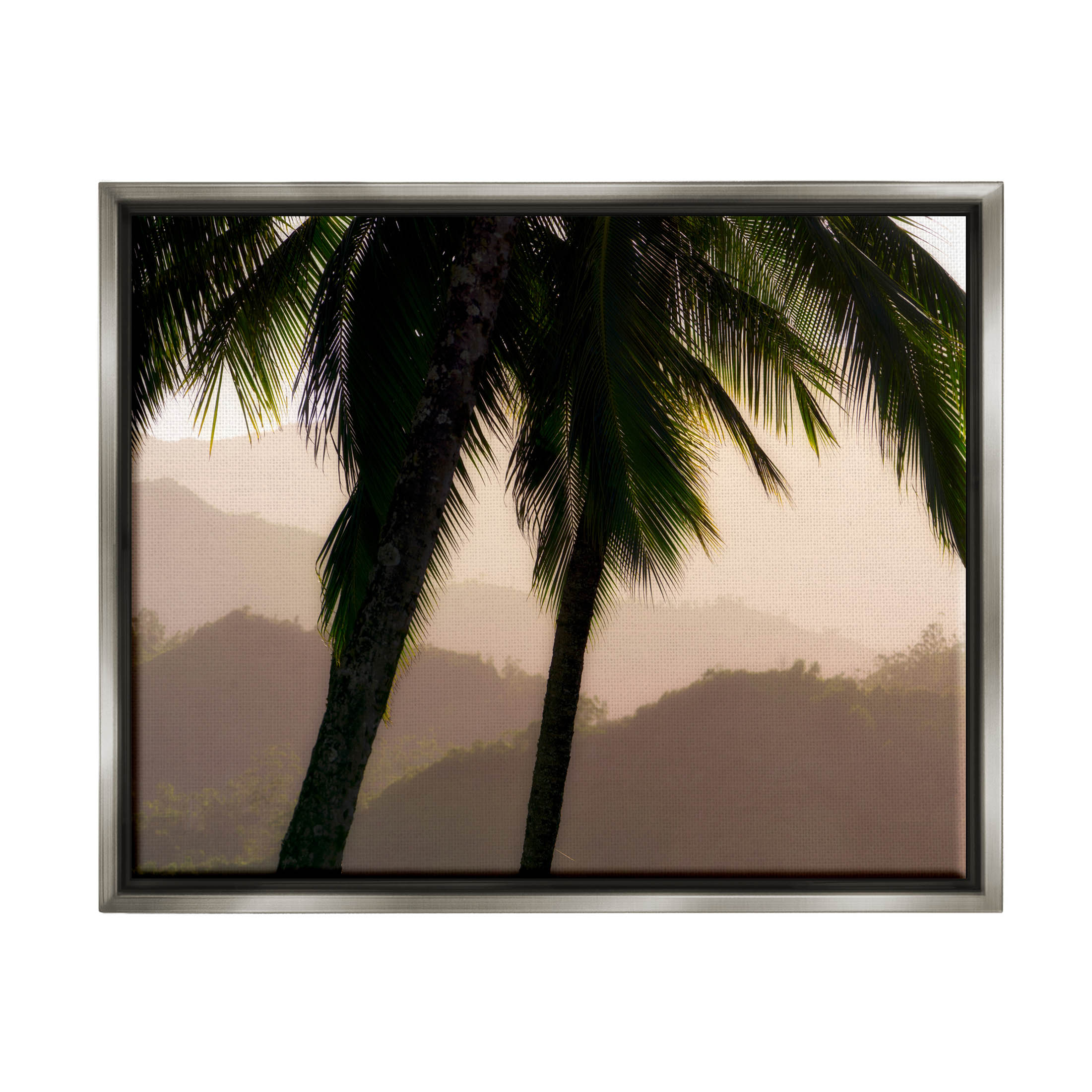 Stupell Industries Tropical Overhanging Palms Distant Land Photograph Luster Gray Floating Framed Canvas Print Wall Art, Design by Dennis Frates