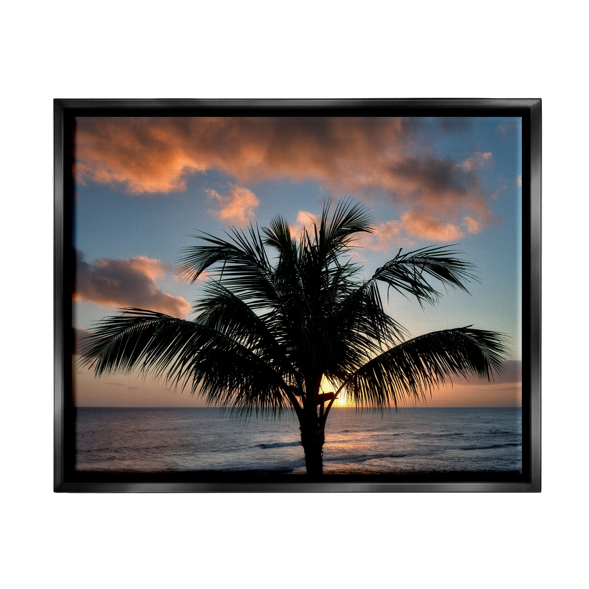 Stupell Industries Tropical Palm Photography Nature Photography Black Floater Framed Art Print Wall Art, 21 x 17