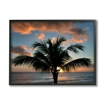 Stupell Industries Tropical Palm Photography Nature Photography Black Framed Art Print Wall Art, 14 x 11