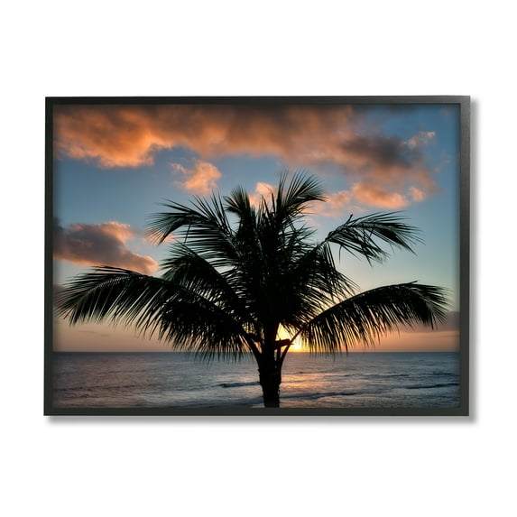 Stupell Industries Tropical Palm Photography Nature Photography Black Framed Art Print Wall Art, 20 x 16