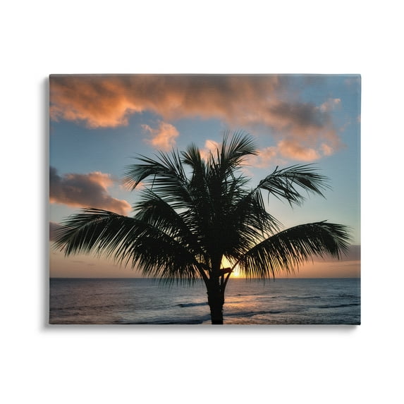 Stupell Industries Tropical Palm Photography Nature Photography Gallery Wrapped Canvas Print Wall Art, 20 x 16