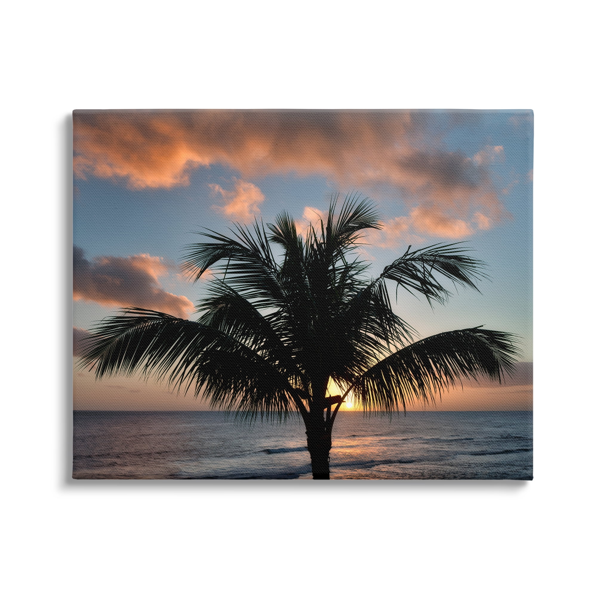 Stupell Industries Tropical Palm Photography Nature Photography Gallery Wrapped Canvas Print Wall Art, 30 x 24