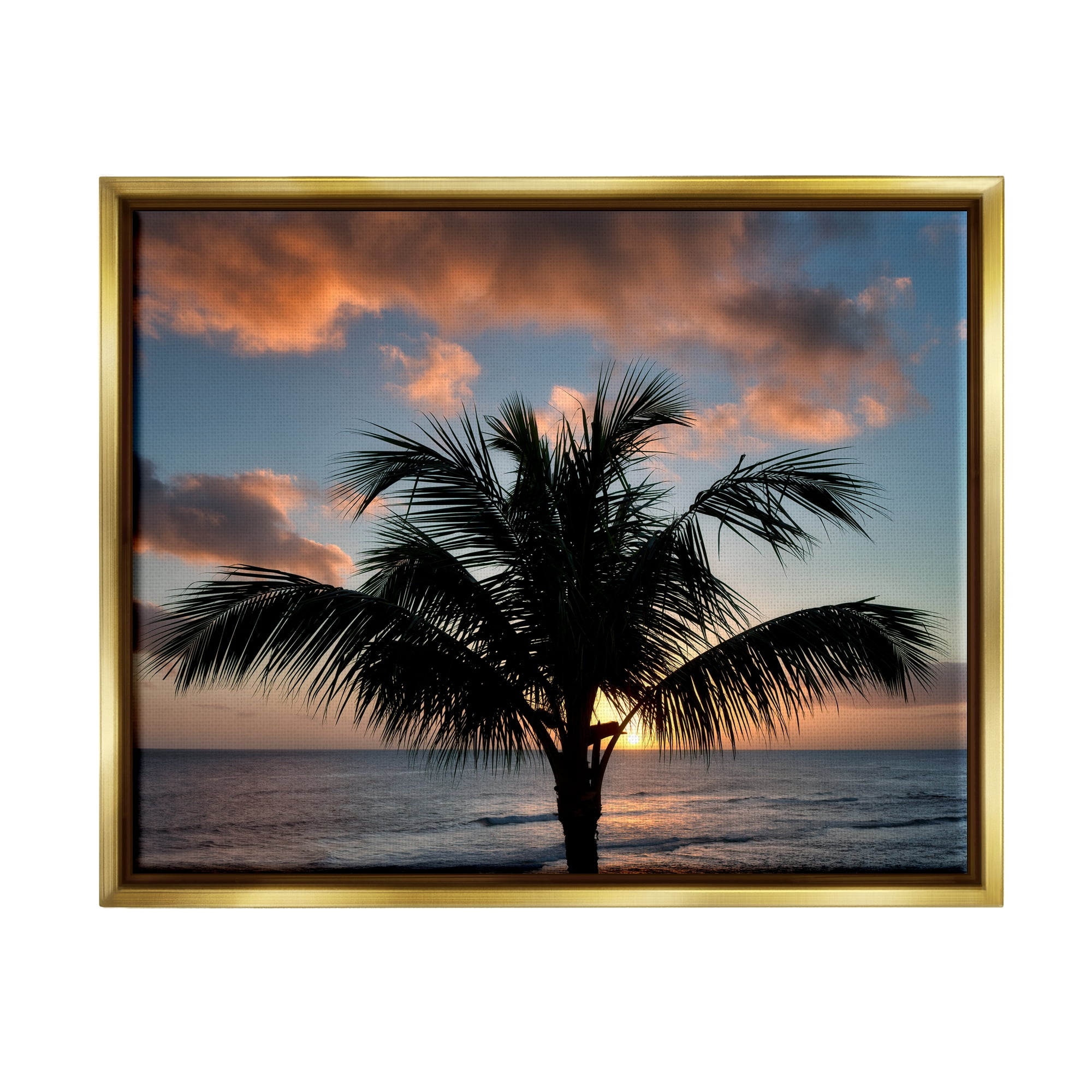 Stupell Industries Tropical Palm Photography Nature Photography Gold Floater Framed Art Print Wall Art, 31 x 25