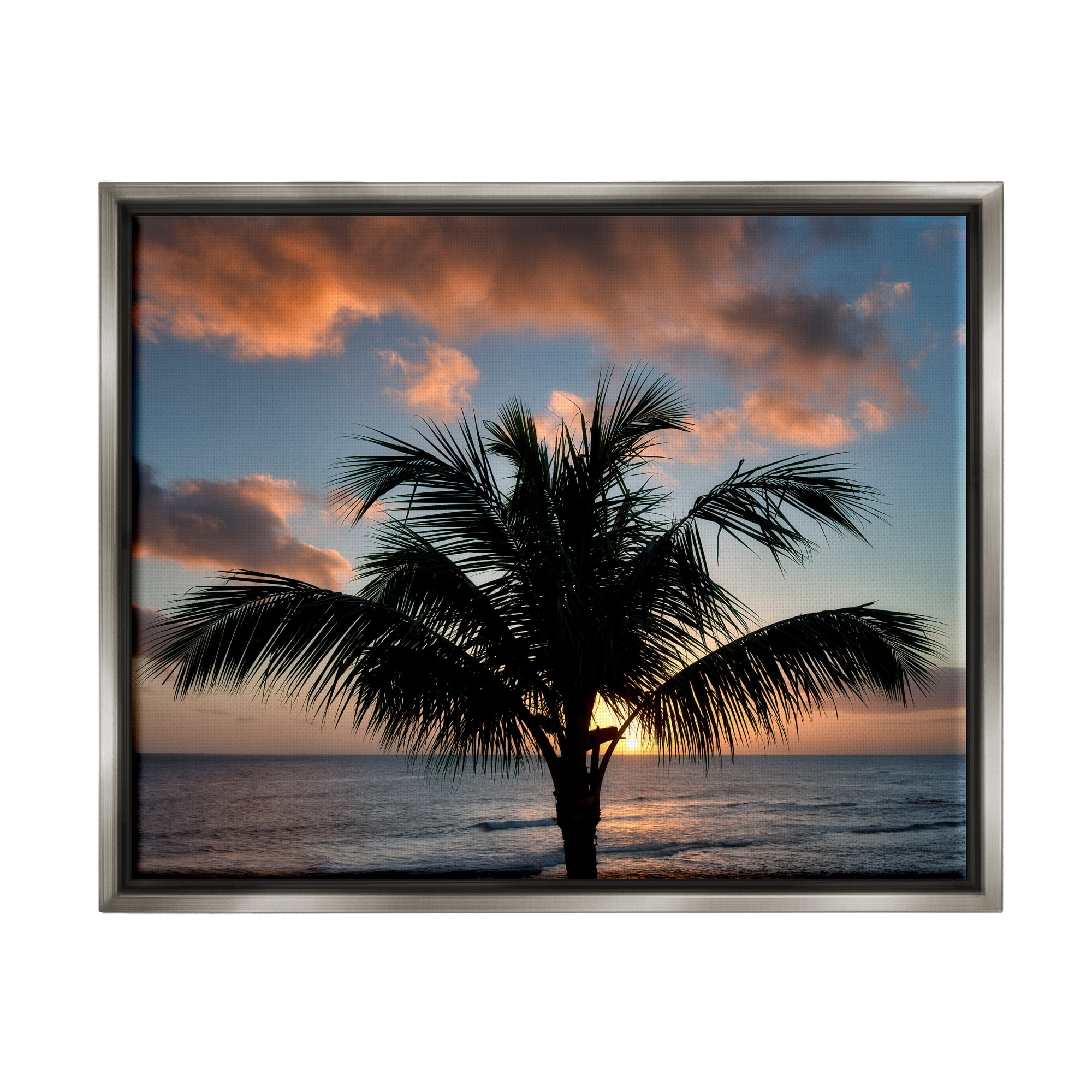 Stupell Industries Tropical Palm Photography Nature Photography Gray Floater Framed Art Print Wall Art, 31 x 25