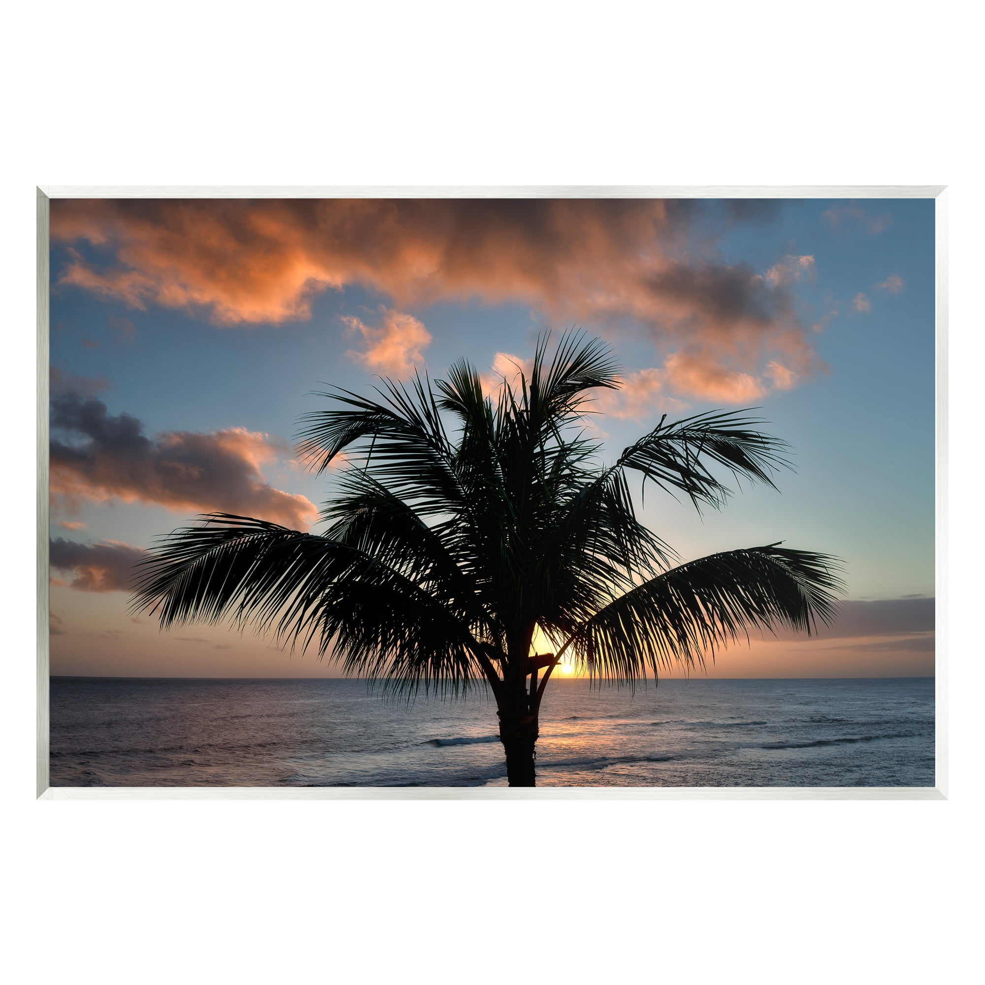 Stupell Industries Tropical Palm Photography Nature Photography Unframed Art Print Wall Art, 19 x 13