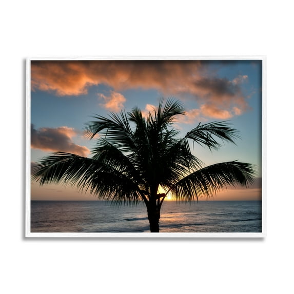 Stupell Industries Tropical Palm Photography Nature Photography White Framed Art Print Wall Art, 14 x 11