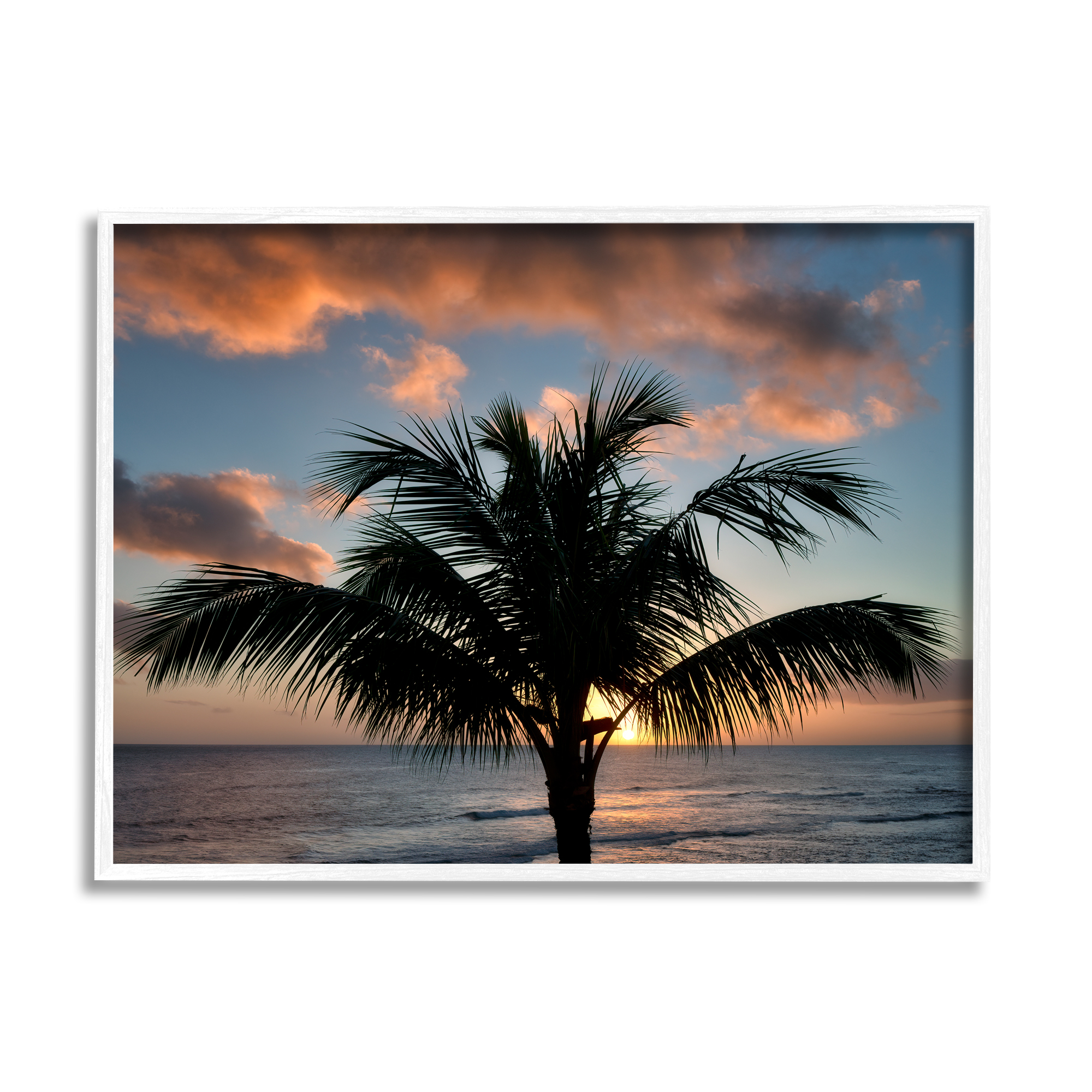 Stupell Industries Tropical Palm Photography Nature Photography White Framed Art Print Wall Art, 20 x 16