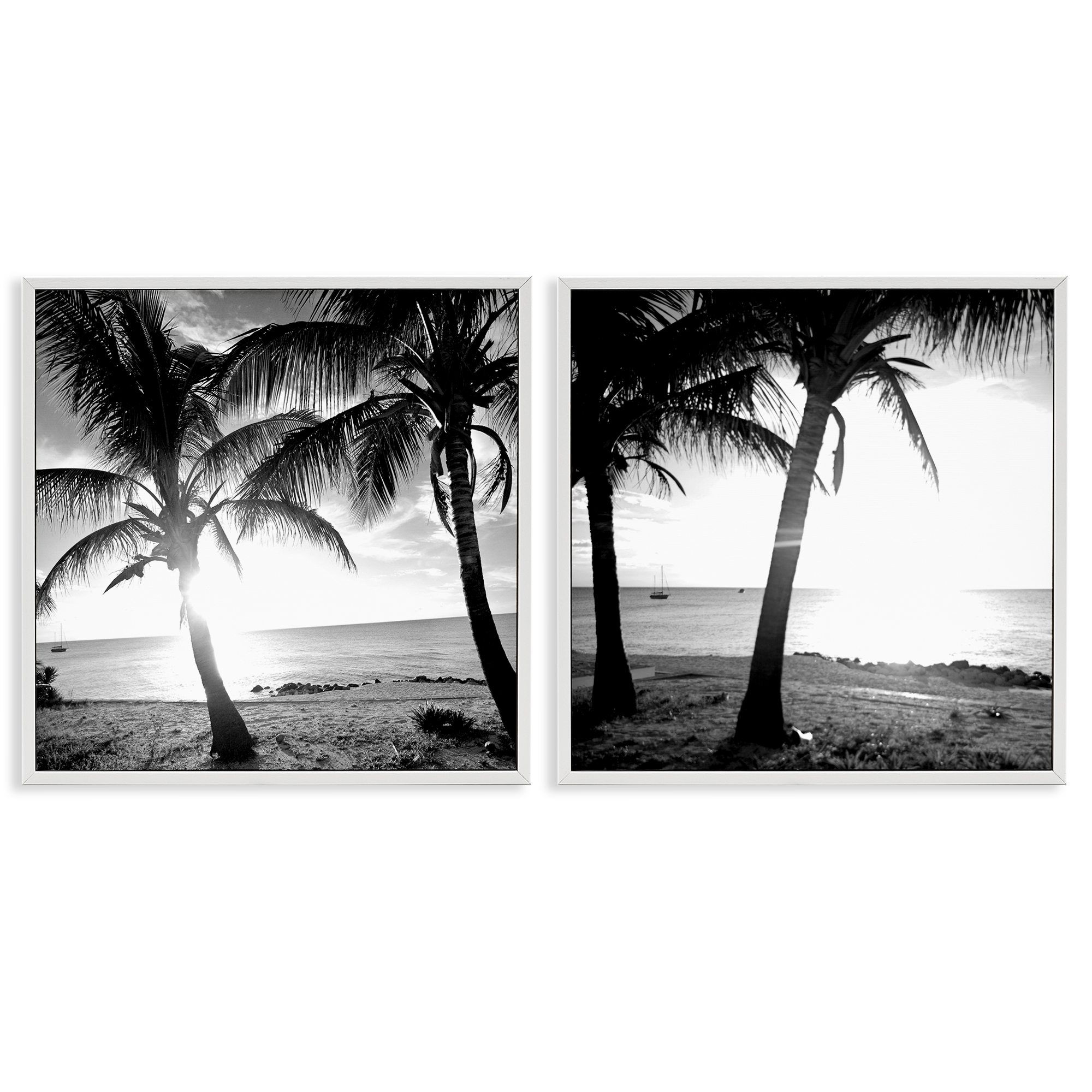 Stupell Industries Tropical Palm Sunset Landscape & Nature Photography ...