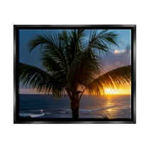 Stupell Industries Tropical Palm Sunset Nature Photography Black Floater Framed Art Print Wall Art, 21 x 17