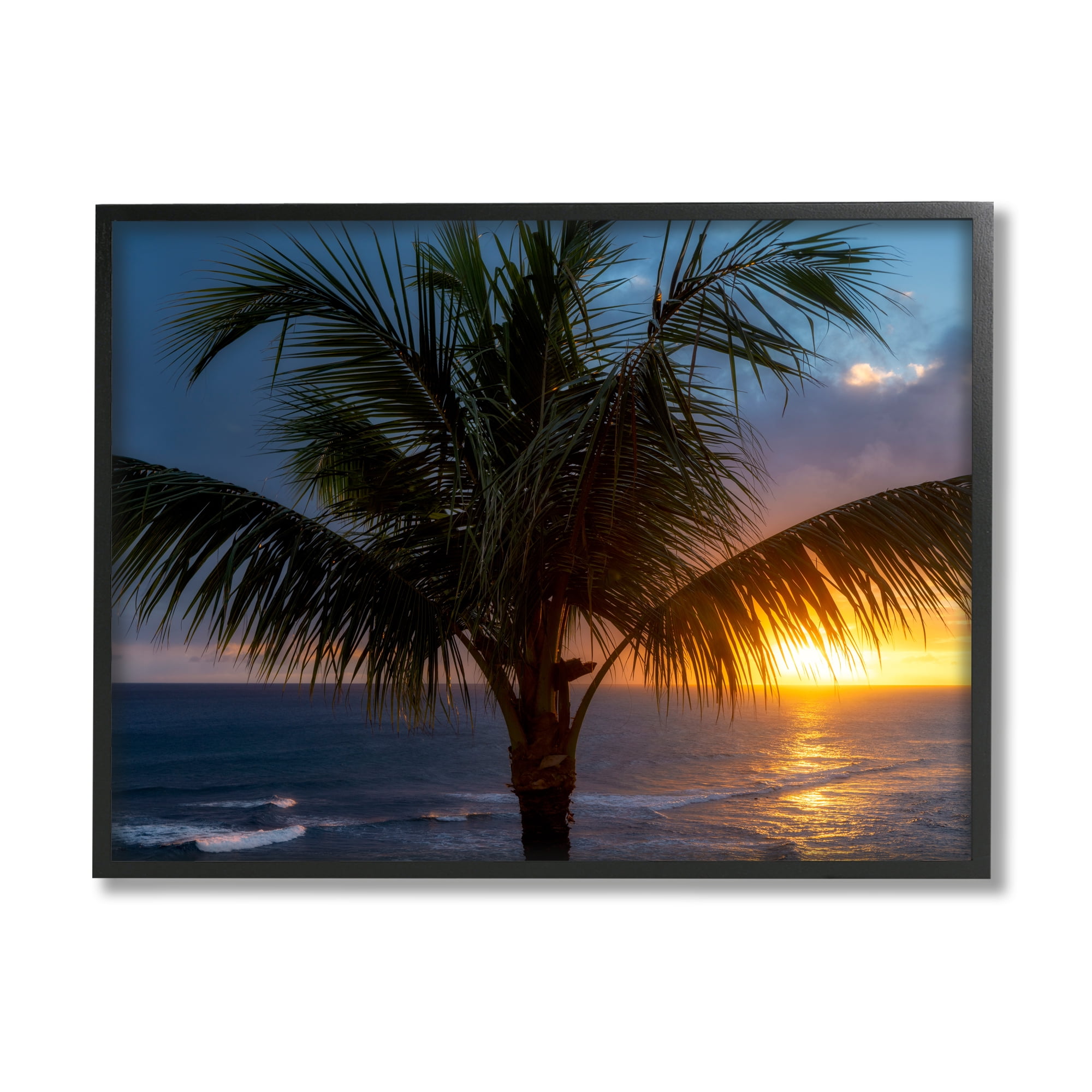 Black Framed Tropical Palm Sunset Canvas Print, 14 x 11