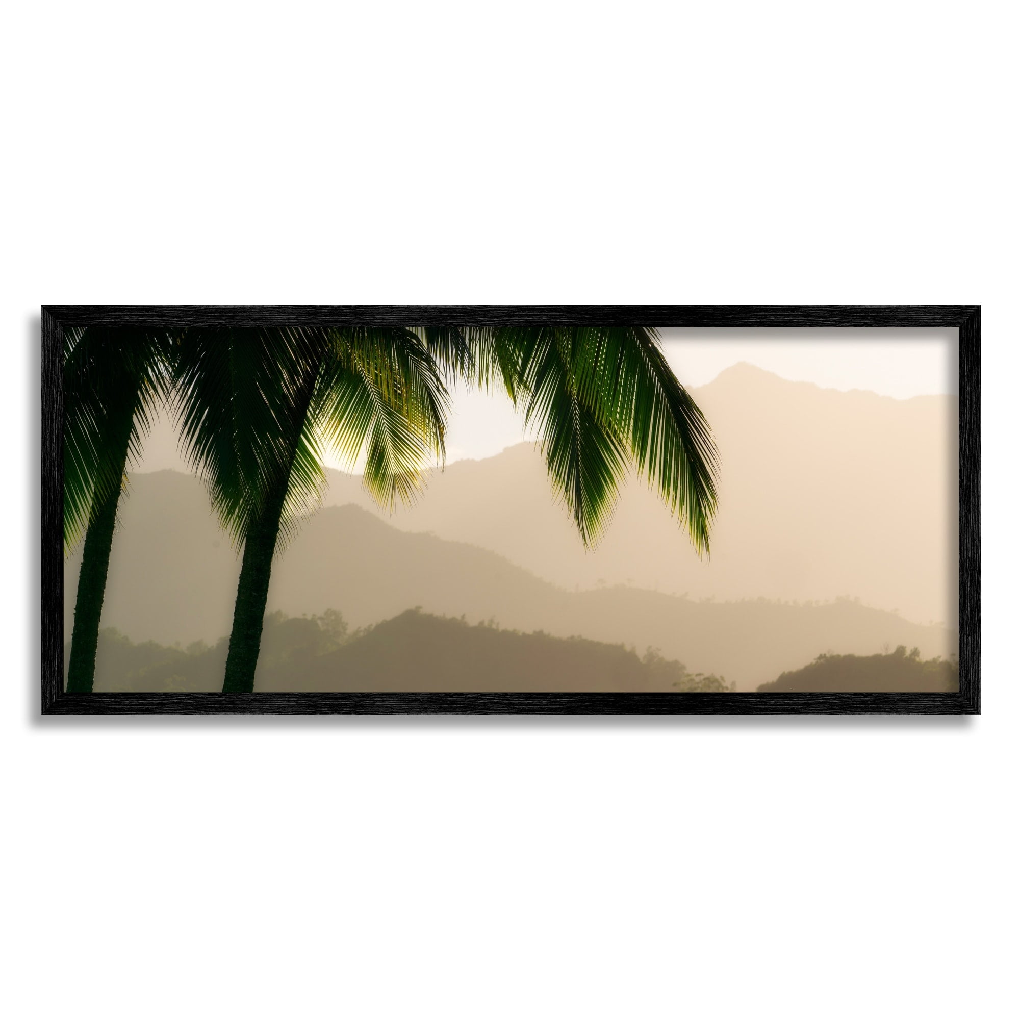 Tropical Palm Tree Overlooking Sunlit Mountain Valley Canvas Print, 24 x 10