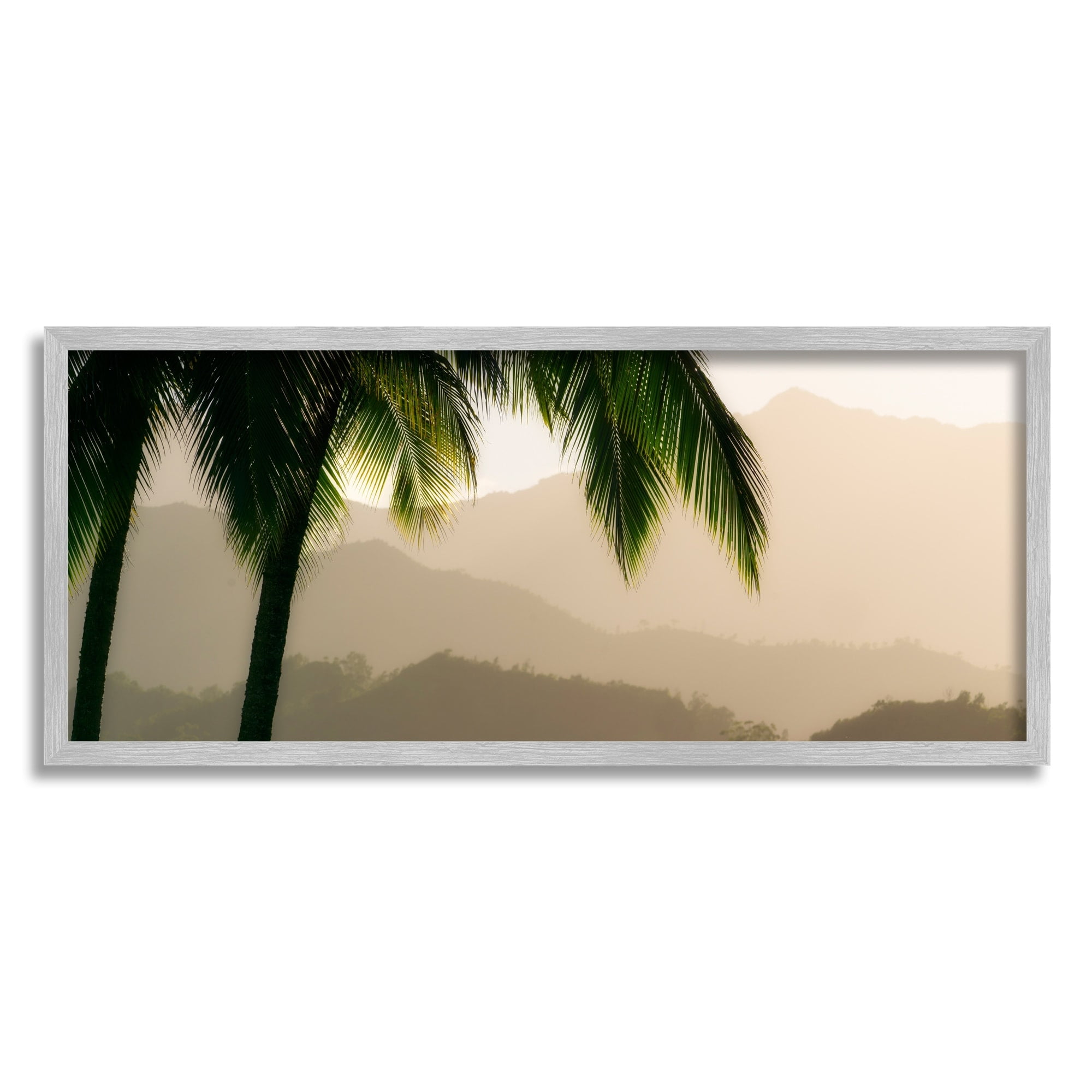 Stupell Industries Tropical Palm Tree Overlooking Sunlit Mountain Valley , 30 x 13, Design by Dennis Frates