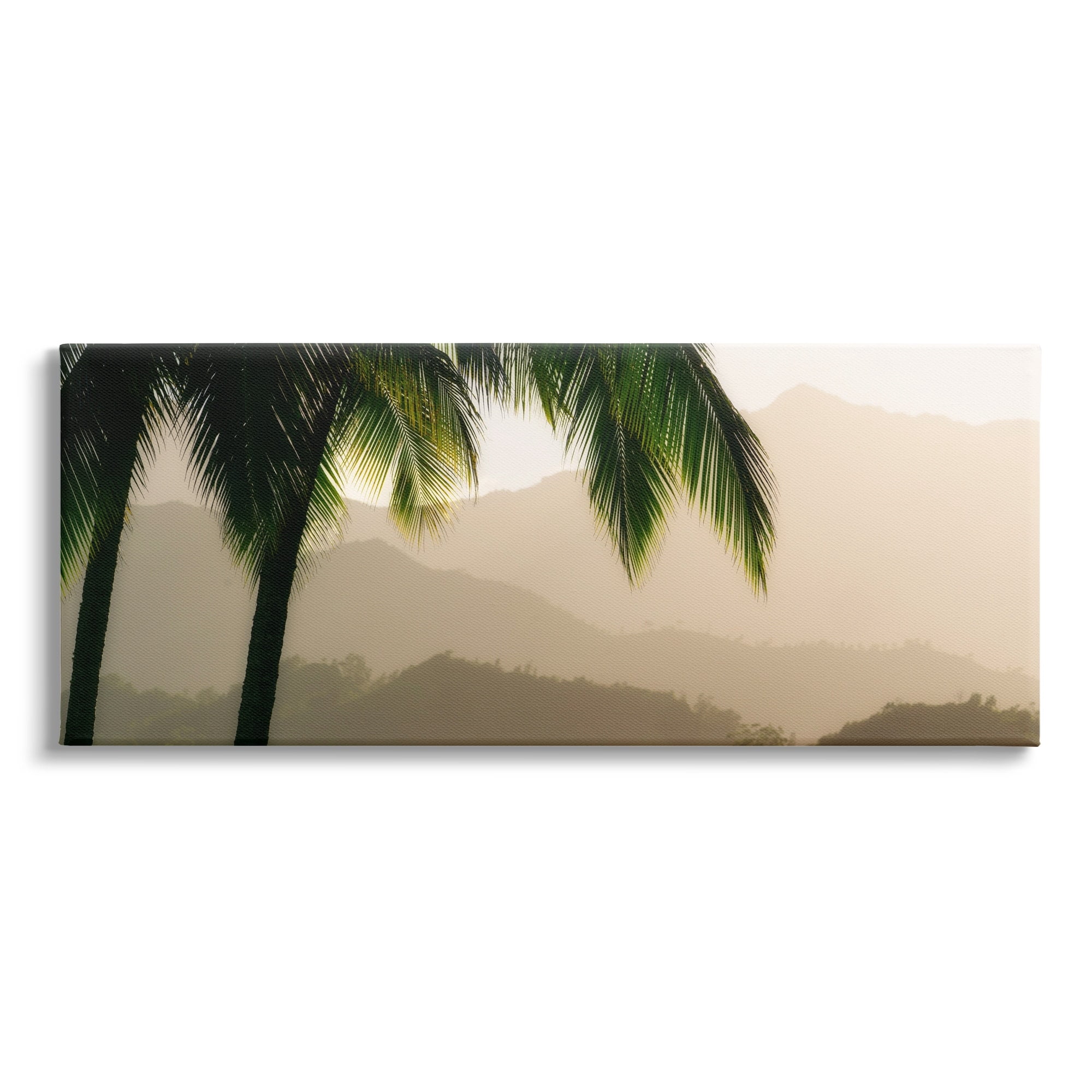 Stupell Industries Tropical Palm Tree Overlooking Sunlit Mountain Valley , 40 x 17, Design by Dennis Frates