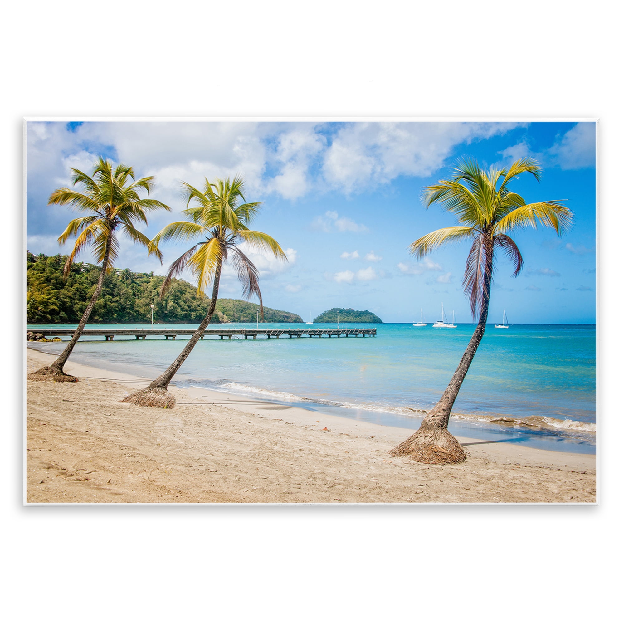 Stupell Industries Tropical Palm Tree Trio Nautical & Beach Photography Unframed Art Print Wall Art, 19 x 13