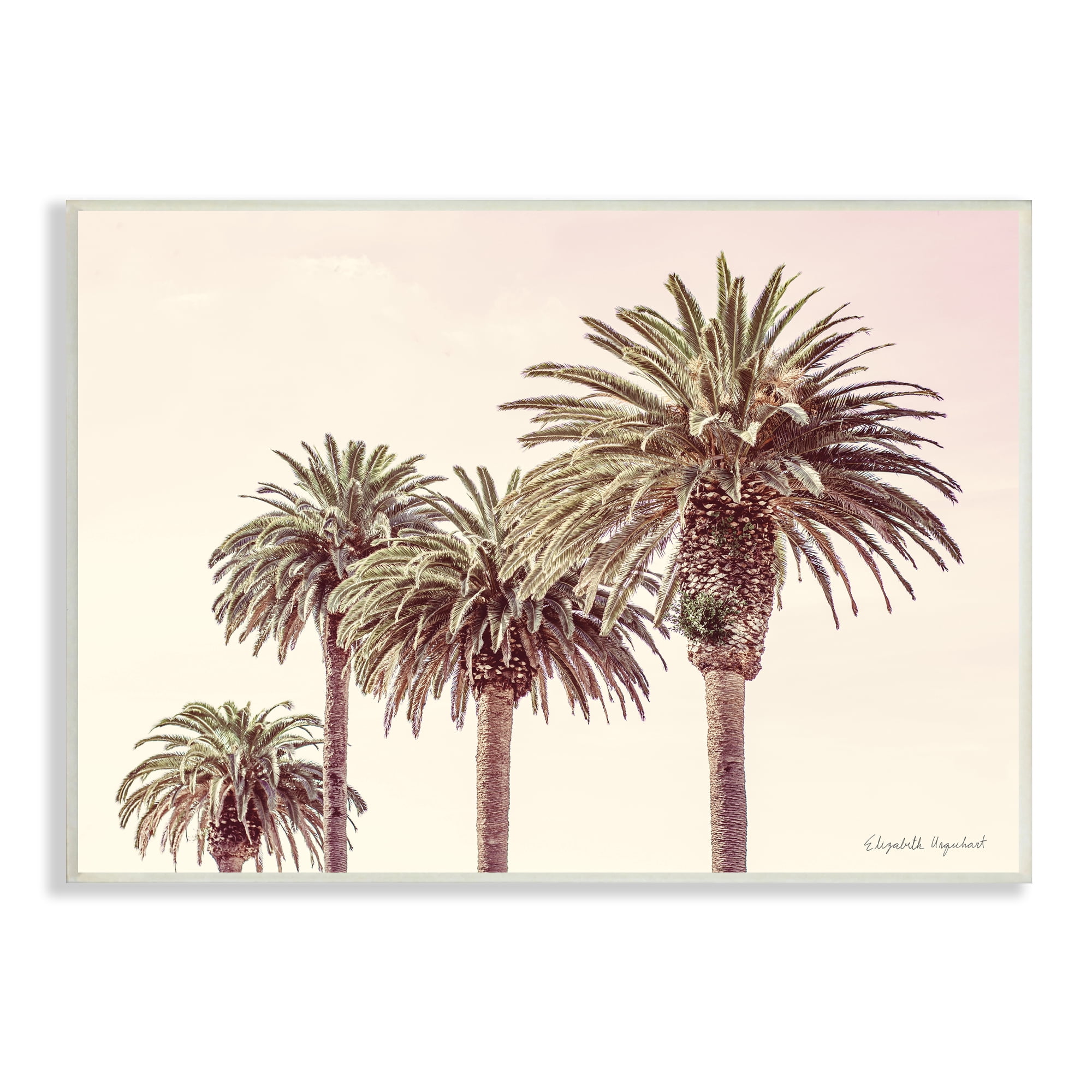 Stupell Industries Tropical Palm Trees Sun Bleached Summer Sky Nature Photography Unframed Art Print Wall Art, 13 x 19