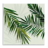 Stupell Industries Tropical Palms with Shadows Plants & Flowers Painting Unframed Art Print Wall Art, 12 x 12