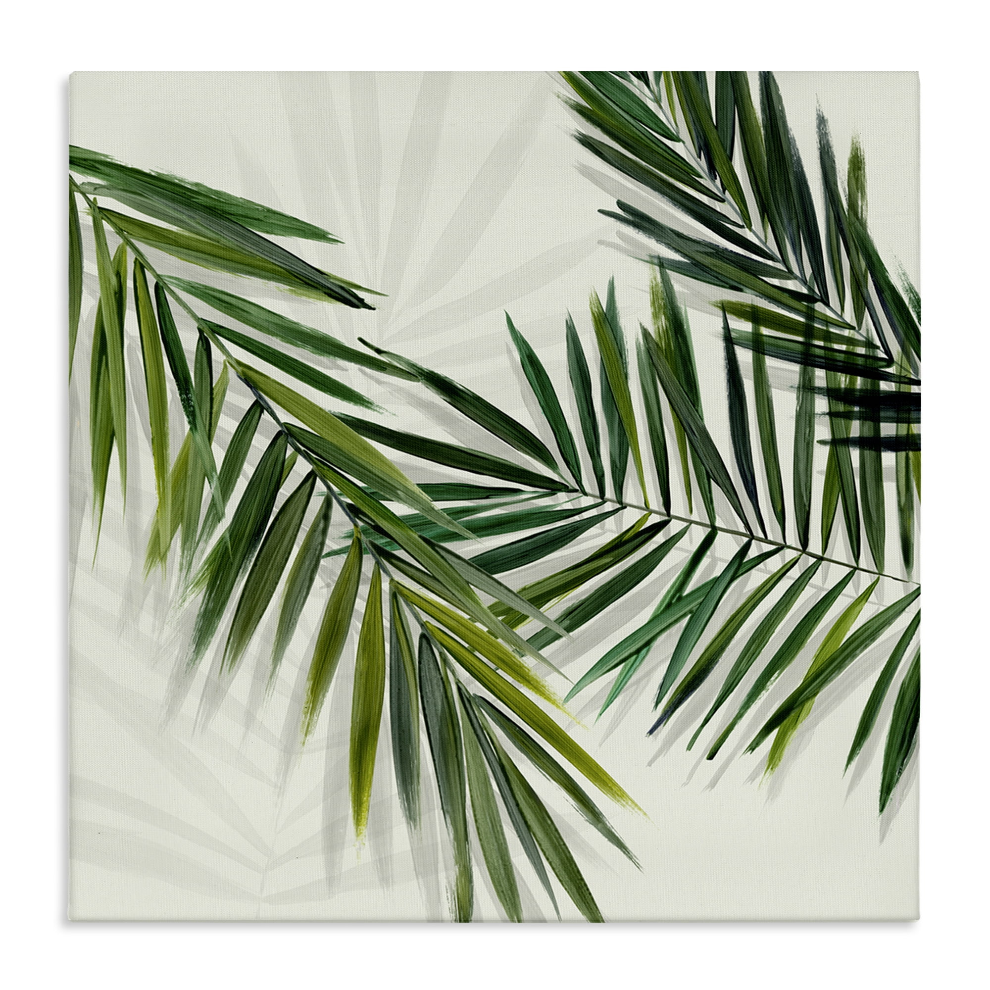 Stupell Industries Tropical Palms with Shadows Plants & Flowers Painting Wrapped Canvas Art Print Wall Art, 30 x 30