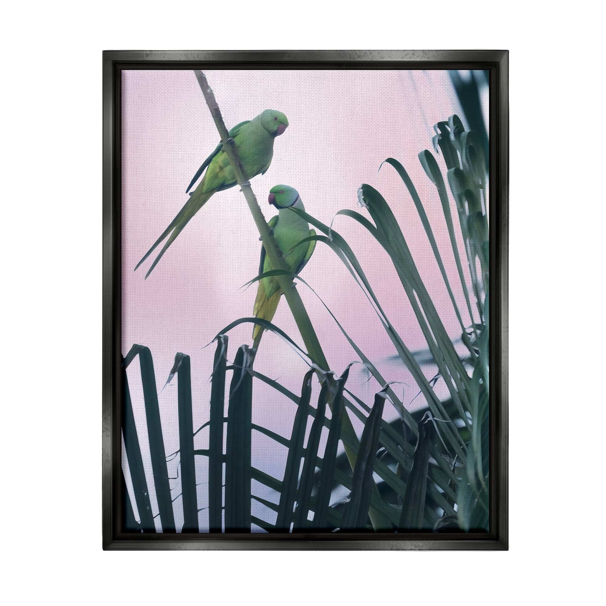Stupell Industries Tropical Parakeets Pink Sky Animals & Insects Photography Black Floater Framed Art Print Wall Art