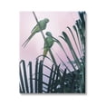 thumbnail image 1 of Stupell Industries Tropical Parakeets Pink Sky Animals & Insects Photography Gallery Wrapped Canvas Print Wall Art, 1 of 5