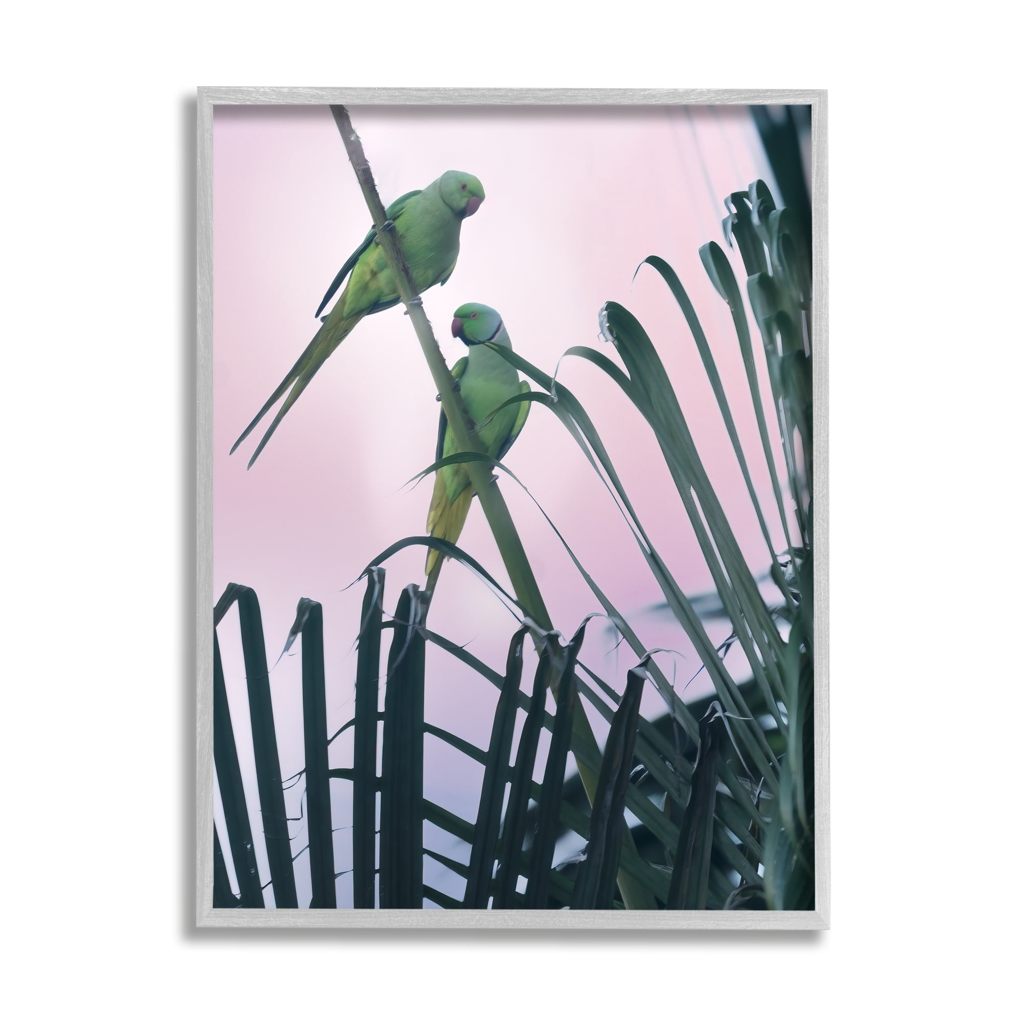Stupell Industries Tropical Parakeets Pink Sky Animals & Insects Photography Gray Framed Art Print Wall Art