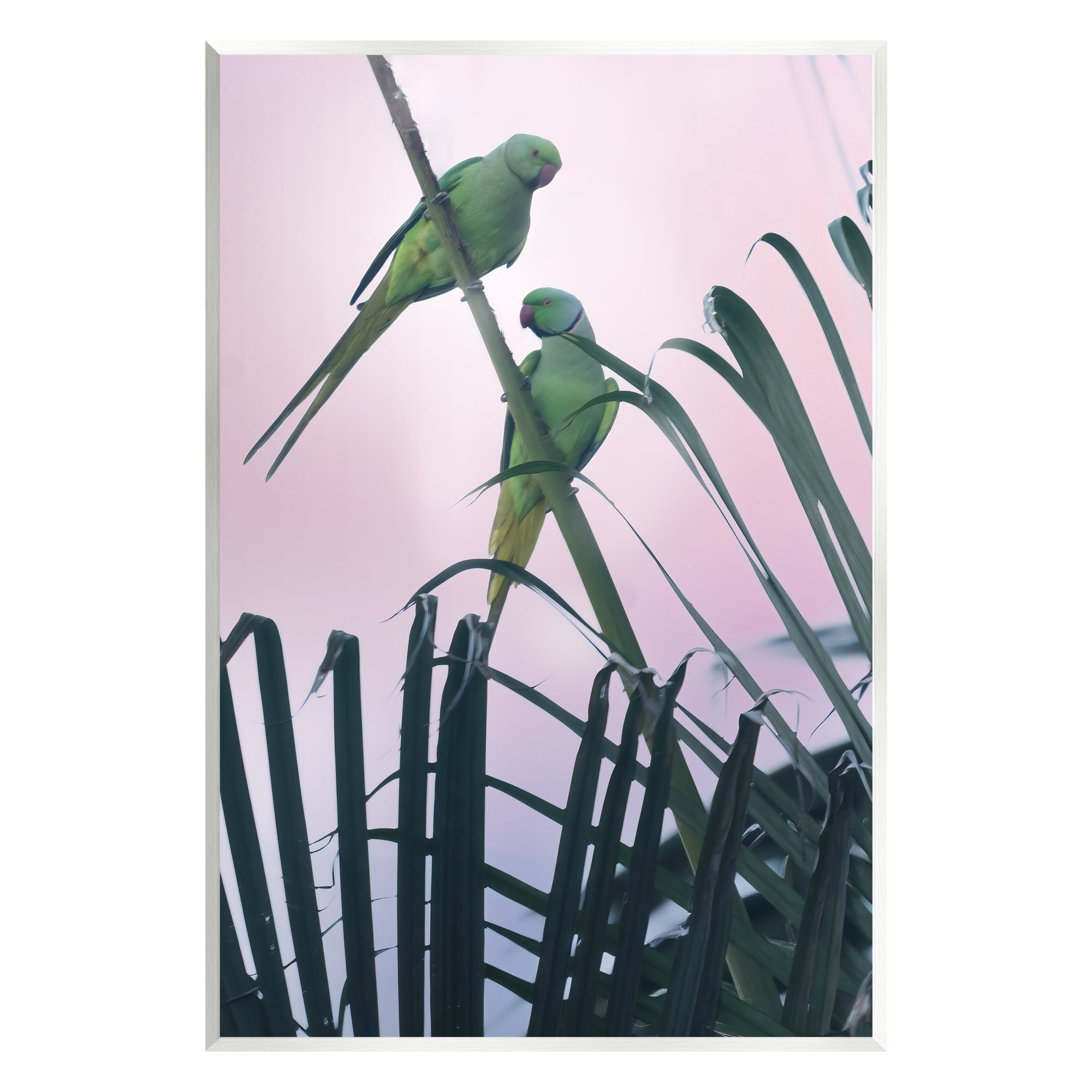 Tropical Parakeets Pink Sky MDF Wood Wall Plaque Art