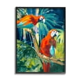 thumbnail image 1 of Stupell Industries Tropical Parrots in Jungle Animals & Insects Painting Black Framed Art Print Wall Art, 11 x 14, 1 of 8