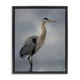 thumbnail image 1 of Stupell Industries Tropical Perched Egret Water Reflection Black Floating Frame Canvas Art, 17 x 21, by Kelley Parker, 1 of 7