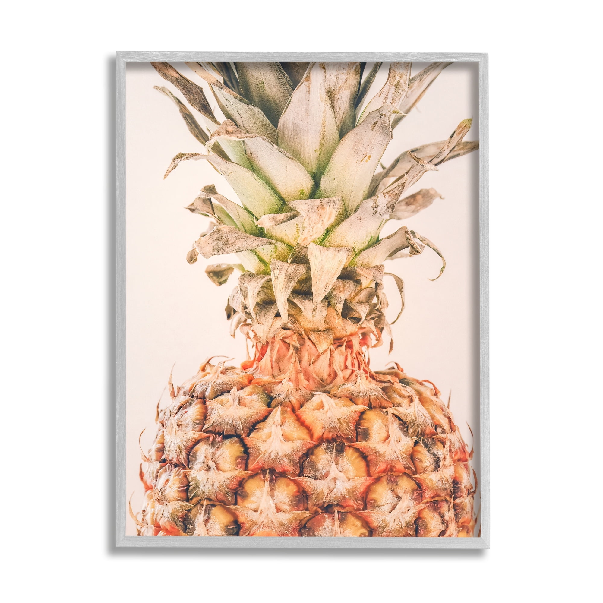 Gray Framed Tropical Pineapple Canvas Print, 24 x 30