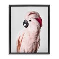 thumbnail image 1 of Stupell Industries Tropical Pink Cockatoo Photography Black Floating Frame Canvas Art, 17 x 21, by Sisi and Seb, 1 of 7