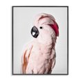 thumbnail image 1 of Stupell Industries Tropical Pink Cockatoo Photography Black Framed Giclee Art, 11 x 14, by Sisi and Seb, 1 of 7