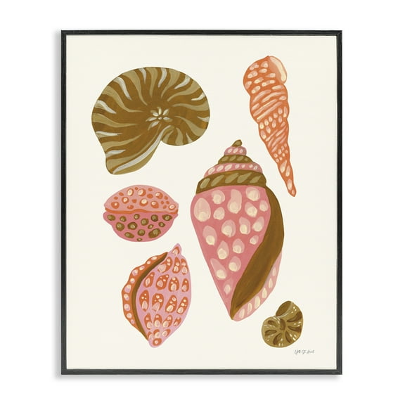 Stupell Industries Tropical Shell Collection Nautical & Beach Painting Black Framed Art Print Wall Art, 11 x 14