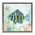 thumbnail image 1 of Stupell Industries Tropical Striped Fish Underwater Gray Floating Frame Canvas Art, 25 x 25, by Carol Robinson, 1 of 8