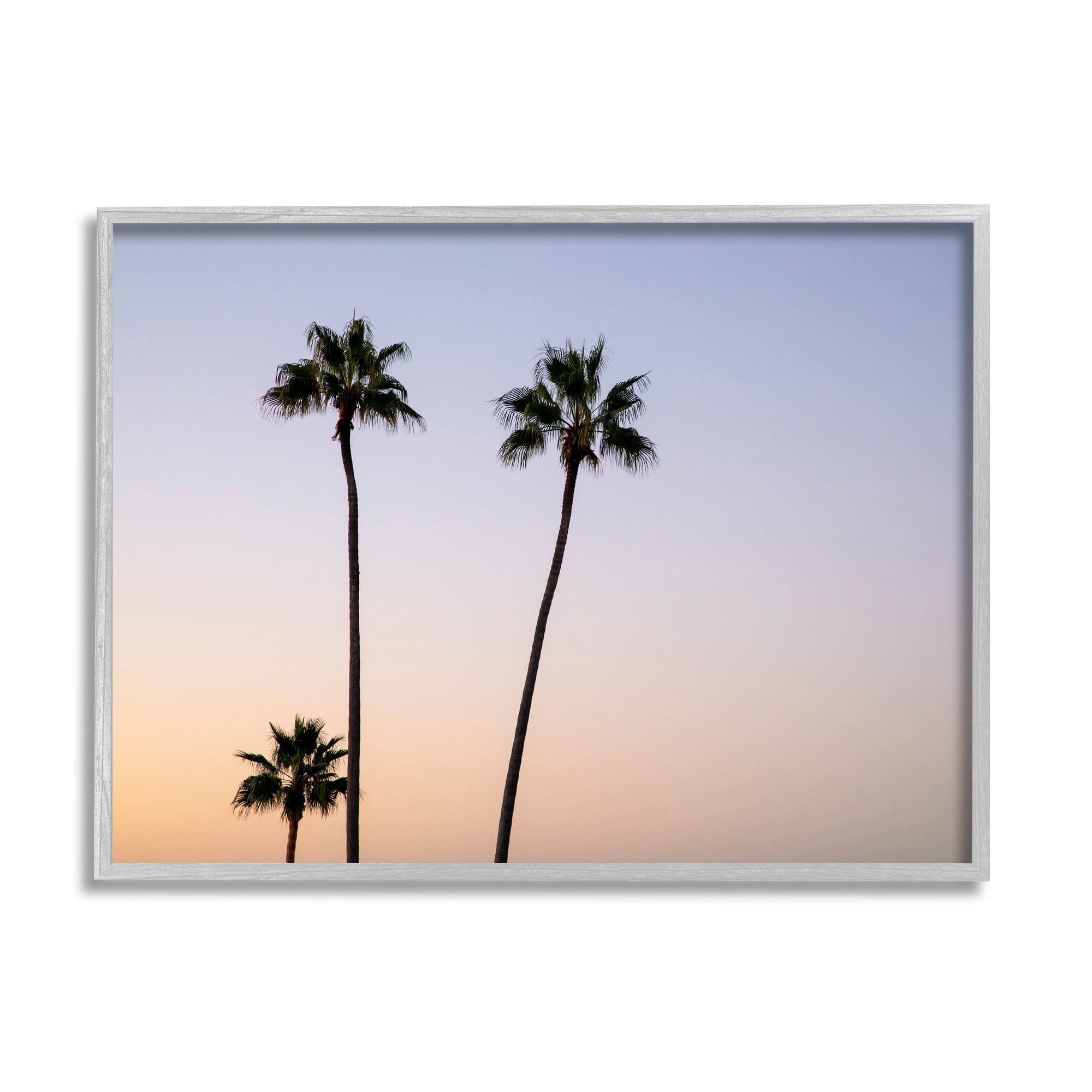Gray Framed Tropical Palm Trees Sunrise Sunset Photography Wall Art